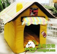 如何为狗狗买一个舒服窝