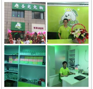 无锡滨湖圣宠宠物医院招聘宠物医师助理