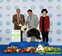 牵犬师（指导手）的工作内容