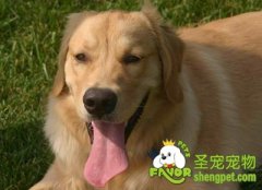 眼睛、耳道和口腔保健清洁用品介绍