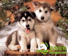 如何调配洗澡水