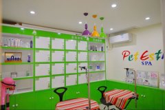 怎样搭建宠物美容室