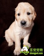 过敏症状有哪些表现