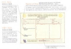 如何辨别狗狗的血统证书