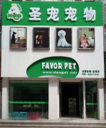 圣宠宠物店(盐城响水店)将于8.25正式开业