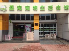圣宠宠物店（天津河西店）经营实记