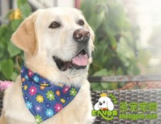 在浴缸或池中溺水的急救措施