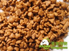 储存狗粮的注意事项