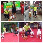 宠物店开店营业之开业活动