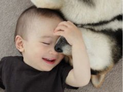 养宠物的准妈妈需要注意什么