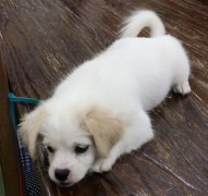 过节了，我也想有家