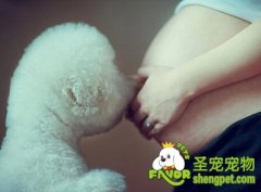 如何防治弓形虫疾病