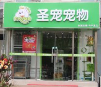 圣宠北京和平里宠物店元旦优惠活动