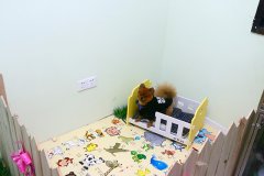 上海长宁路宠物店—宠物活动区