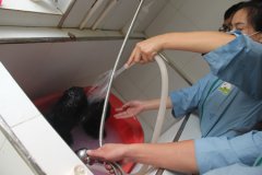 宠物SPA课程讲解