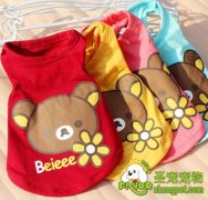 给狗狗做衣服的简单方法