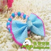 宠物饰品之蝴蝶结制作方法