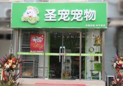 圣宠宠物北京和平里宠物店