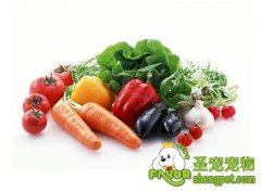 关于狗狗吃蔬菜三个问题
