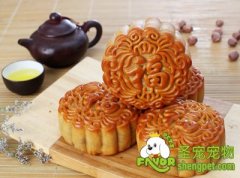 过节要小心不可以给狗狗吃的食物