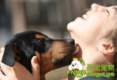 怎样制止狗狗过于亲热