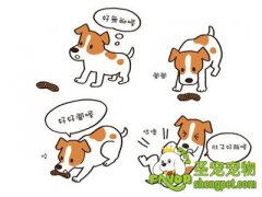 导致狗狗吃便便的原因有哪些