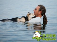 让狗狗安乐死的原因及具体方法