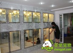 家庭寄养与宠物店寄养有哪些区别