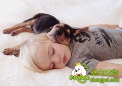 适合与不适合孩子养的狗狗