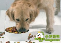 怎么正确存放狗粮？