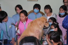 宠物店持续经营之店铺全面升级