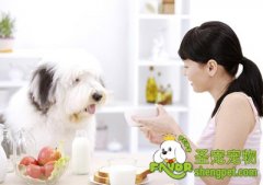 关于狗狗吃食盐的注意事项