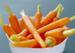 狗狗的成长需要哪些维生素