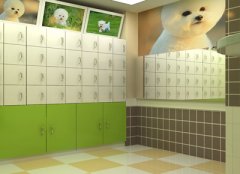 天津河西区宠物店美容区效果图展示