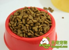 给狗狗挑选狗粮需要注意的重点