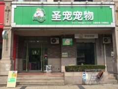 圣宠上海巨峰路宠物店招聘宠物美容师2名