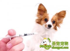 为什么要免疫？要免疫哪些疾病？