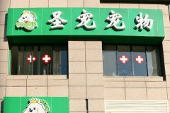 圣宠无锡滨湖区医疗店招聘宠物医生(高薪+提成)