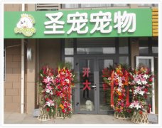 圣宠北京大兴旧宫新苑宠物店招聘宠物美容师1名