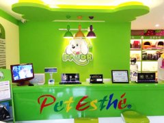 为什么狗狗一直流口水