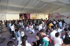 圣宠人员大获全胜,顺利通过宠物美容师资格认证考试