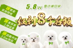 活动仅剩8个名额，好礼送不停！！