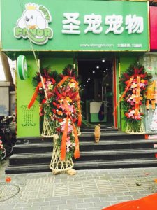 圣宠宠物北京红庙店 打造当地第一品牌店