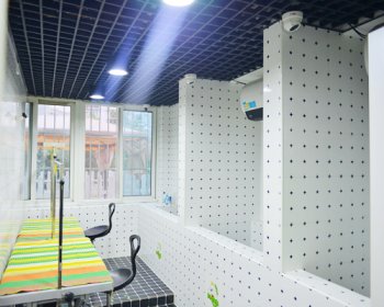 圣宠天津河西区宠物店宠物美容区