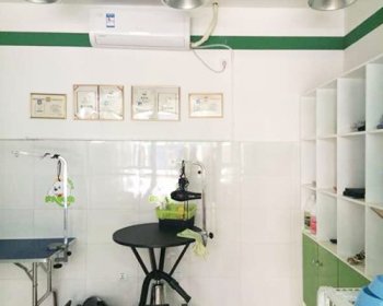 圣宠四川巴中宠物店宠物美容区