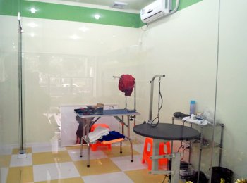 圣宠上海长宁区长宁路宠物店宠物美容区