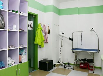 圣宠上海巨峰路宠物店宠物美容区