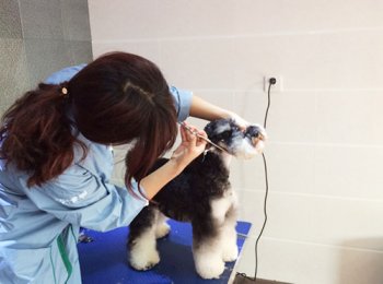 圣宠贵阳中天会展城宠物店宠物美容区