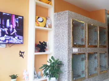 圣宠贵阳中天会展城宠物店宠物寄养区