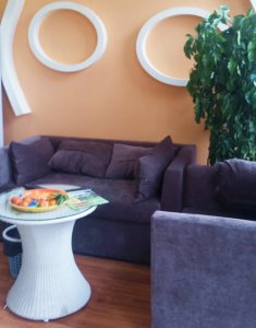 圣宠贵阳中天会展城宠物店休息区